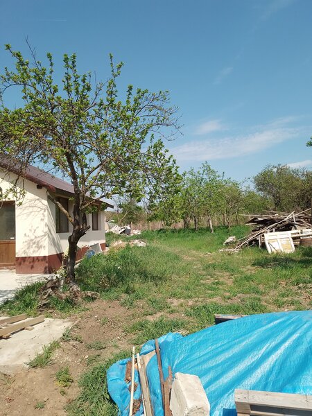 Giurgiu, Comana, Vlad Tepes